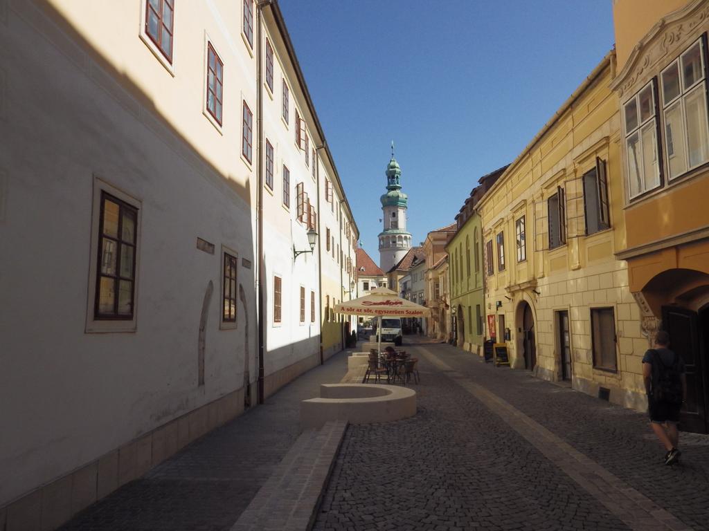 Belvarosi Erdesz-Lak Ödenburg Exterior foto